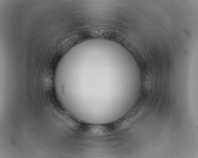 X0000110890226200907021524