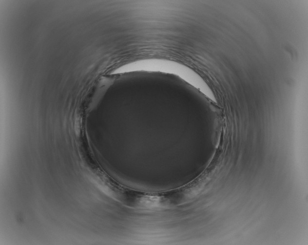 X0000110890227200907021524