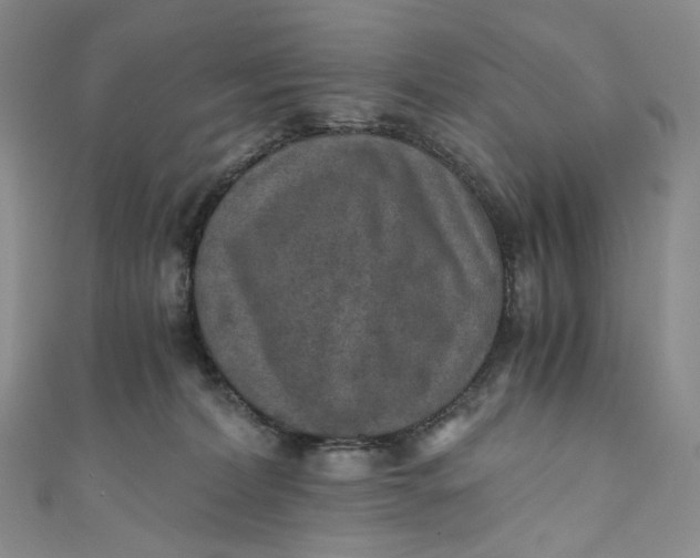 X0000110890228200907021524