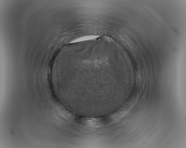 X0000110890229200907021524