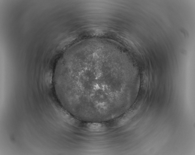 X0000110890230200907021524