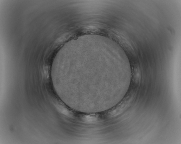 X0000110890232200907021524