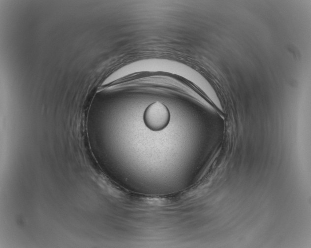 X0000110890233200907021524