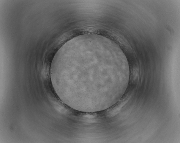 X0000110890236200907021524