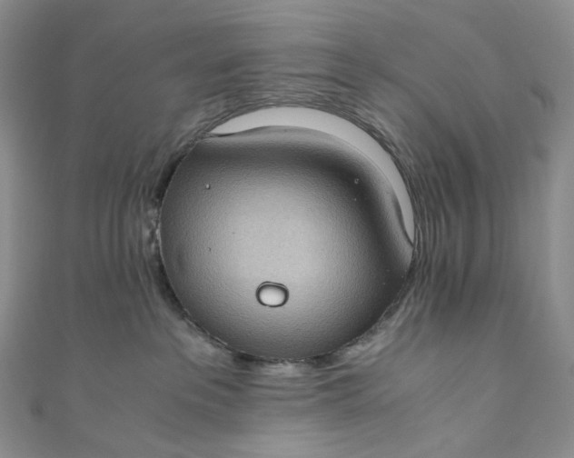 X0000110890237200907021524