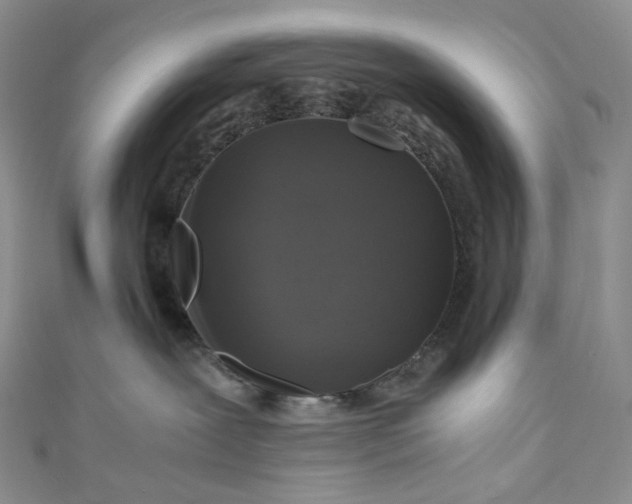 X0000110890239200907021524