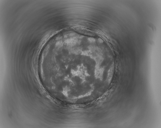 X0000110890241200907021523