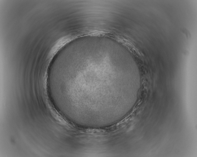 X0000110890242200907021523