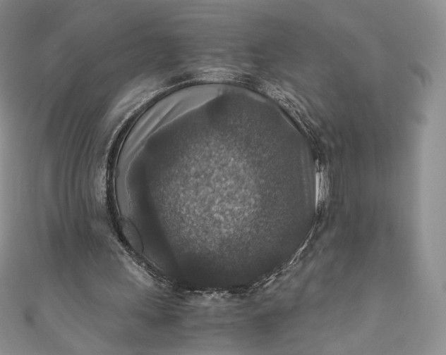 X0000110890243200907021523