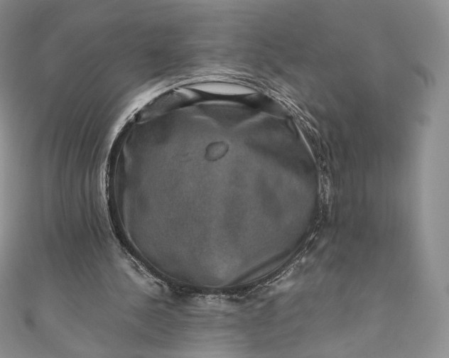 X0000110890244200907021523