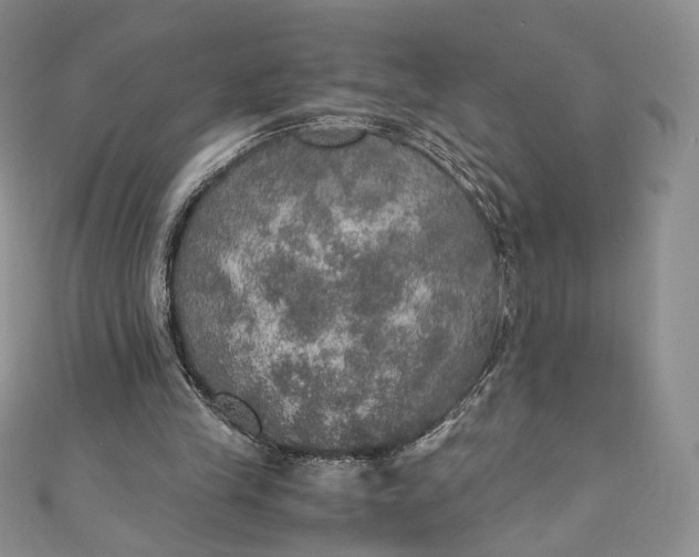 X0000110890245200907021523