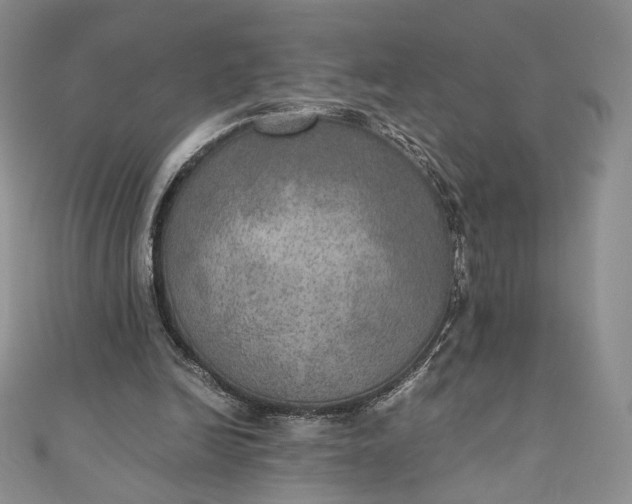 X0000110890246200907021523