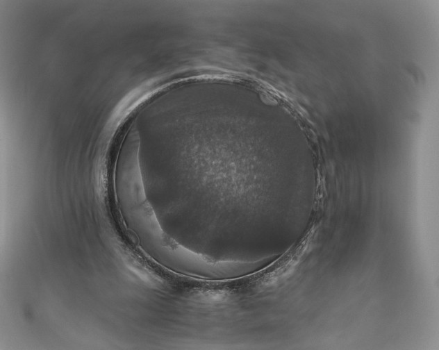 X0000110890247200907021523