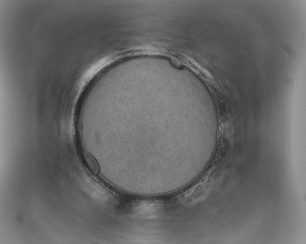 X0000110890248200907021523