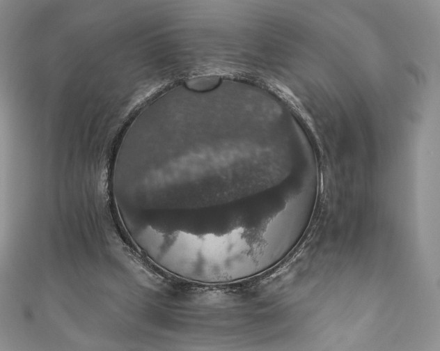 X0000110890249200907021523