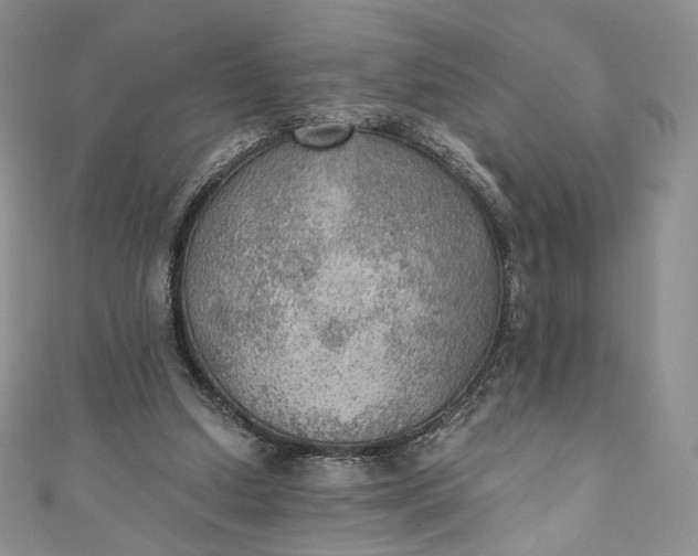 X0000110890250200907021523