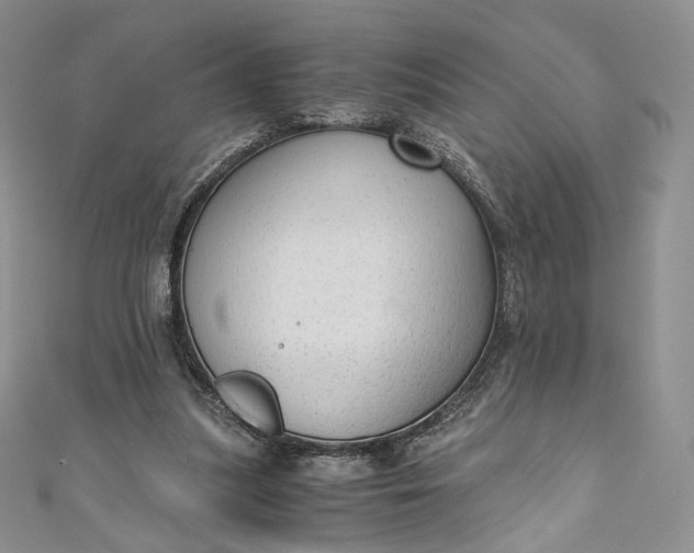 X0000110890251200907021523