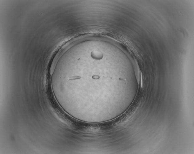 X0000110890252200907021523