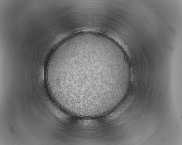 X0000110890253200907021523