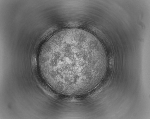 X0000110890254200907021523