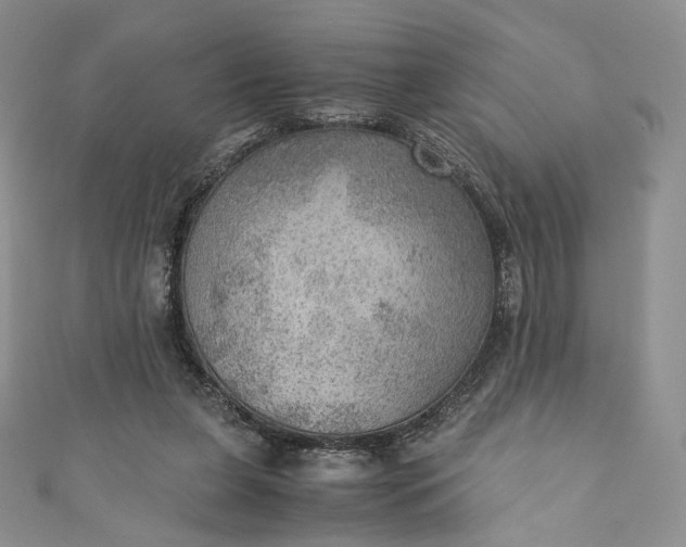 X0000110890255200907021523