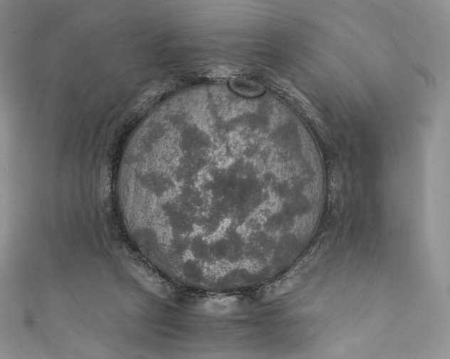 X0000110890257200907021523