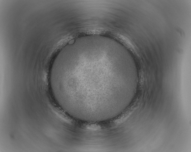 X0000110890258200907021523