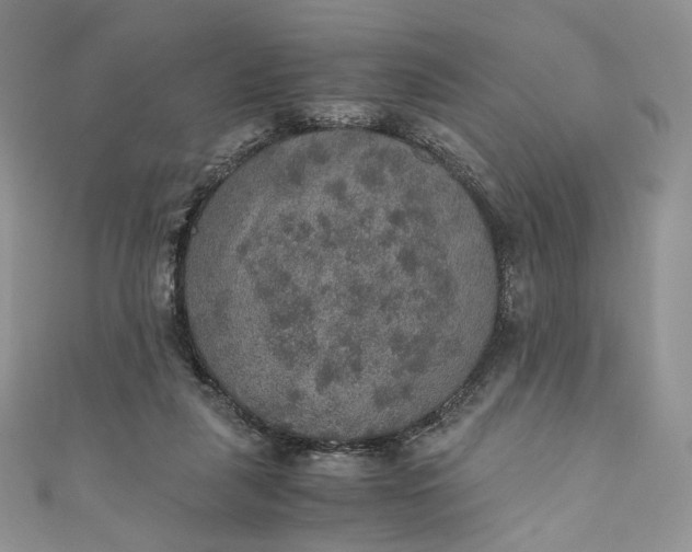 X0000110890259200907021523