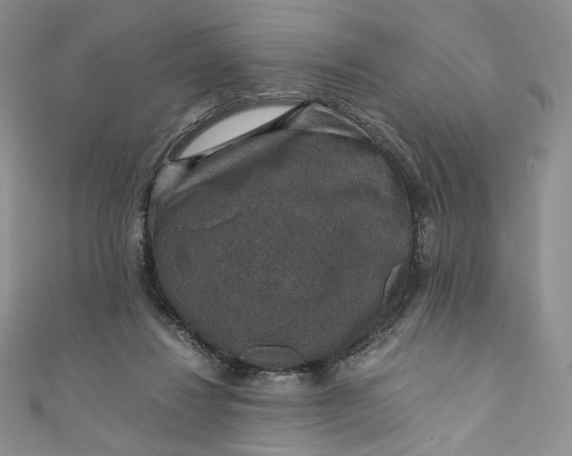 X0000110890260200907021523