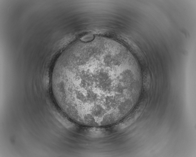 X0000110890261200907021523