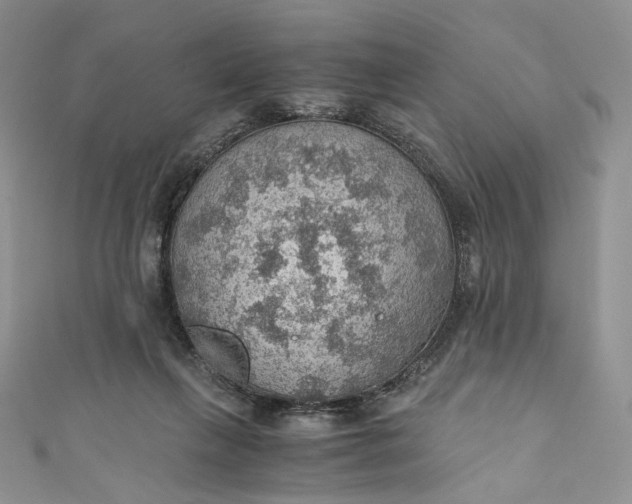 X0000110890263200907021523