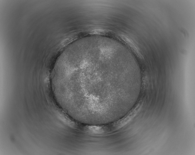 X0000110890265200907021523