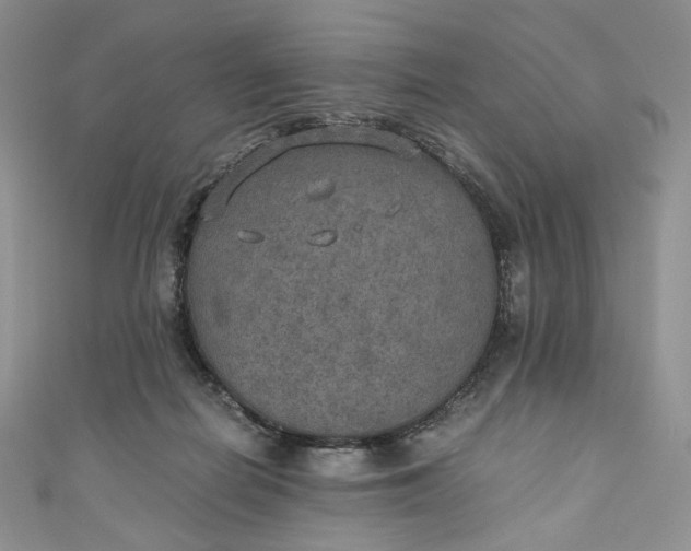 X0000110890266200907021523