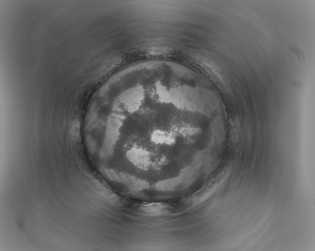 X0000110890269200907021523