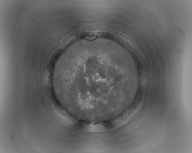 X0000110890270200907021523