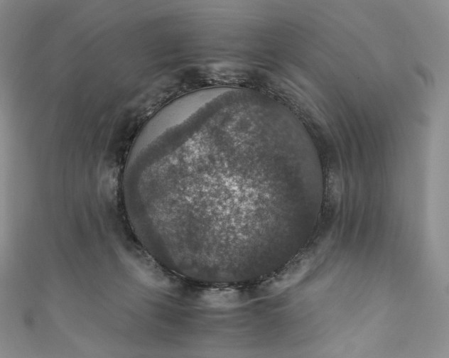 X0000110890271200907021523