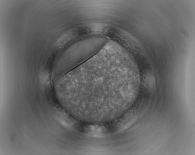 X0000110890272200907021523