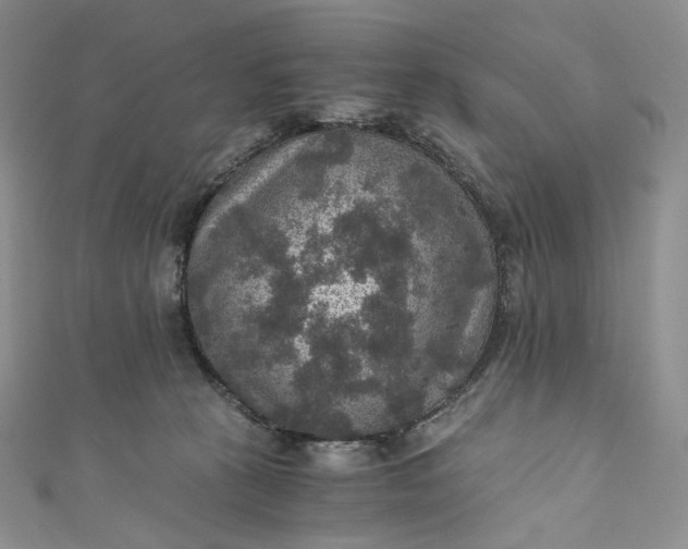 X0000110890273200907021523