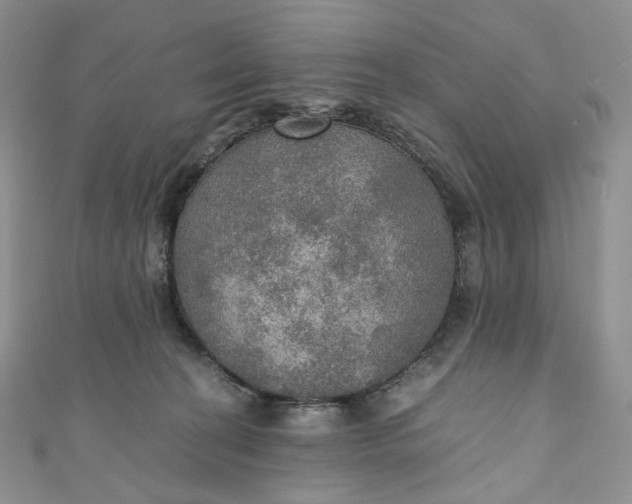 X0000110890274200907021523