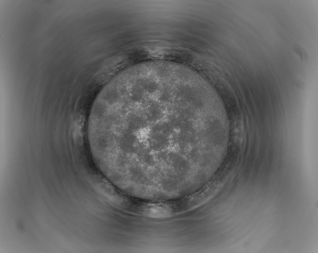 X0000110890275200907021523