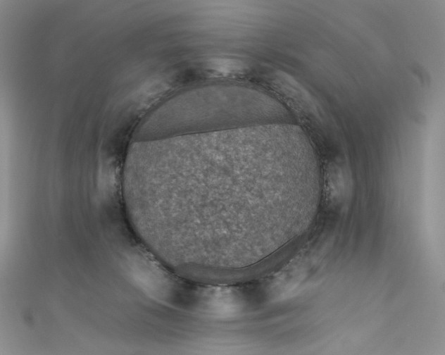 X0000110890276200907021523