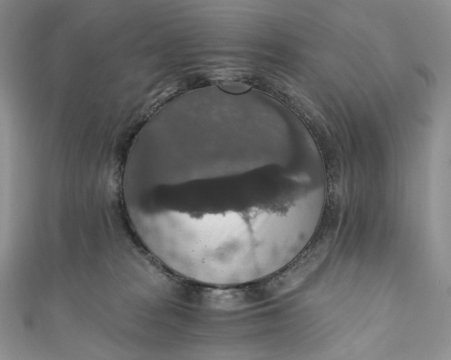 X0000110890277200907021523