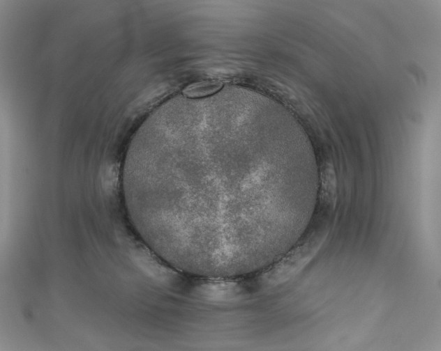 X0000110890278200907021523