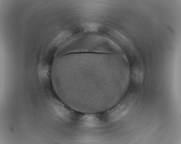 X0000110890280200907021523