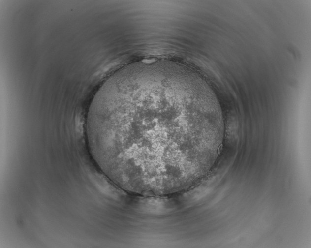 X0000110890282200907021523