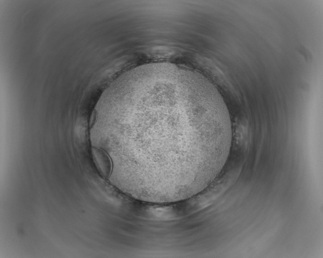 X0000110890283200907021523