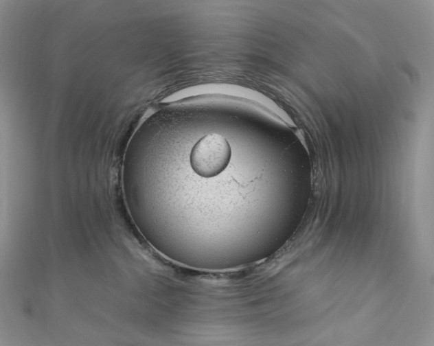 X0000110890284200907021523