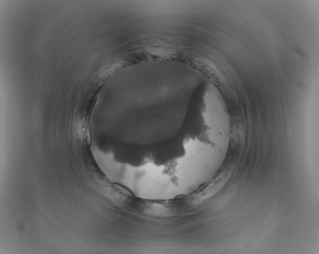 X0000110890285200907021523