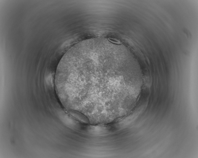 X0000110890286200907021523