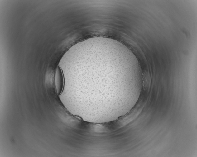 X0000110890287200907021523